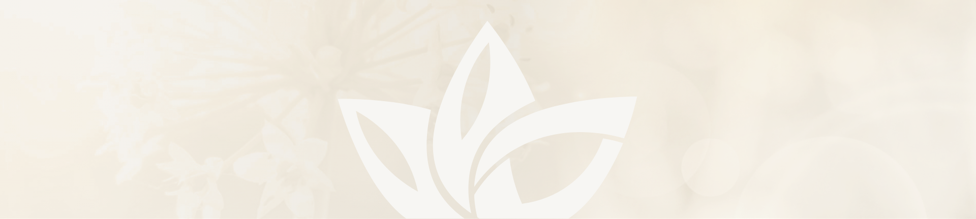 Healthwise-Behavioral-MN_About-Us_Banner_SM.jpg