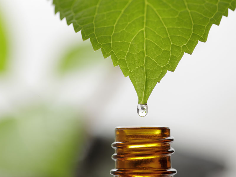 Healthwise-Behavioral_MN_Essential-Oils.jpg